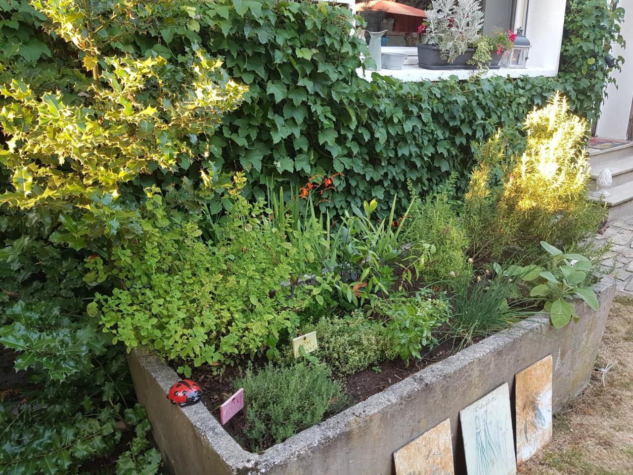 Bed and Breakfast L'Escarbotine Friville-Escarbotin Exterior foto